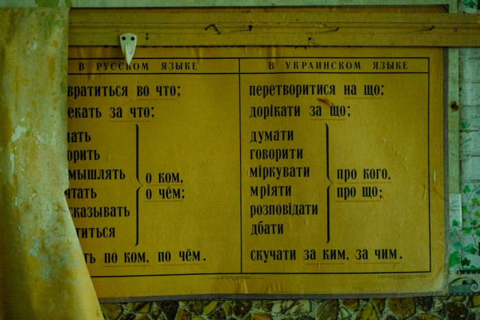 7. Sınıf İngilizce Öğretmen Kılavuz Kitabı Cevapları